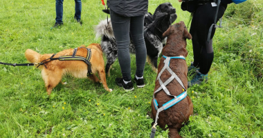 Stammtischwanderung